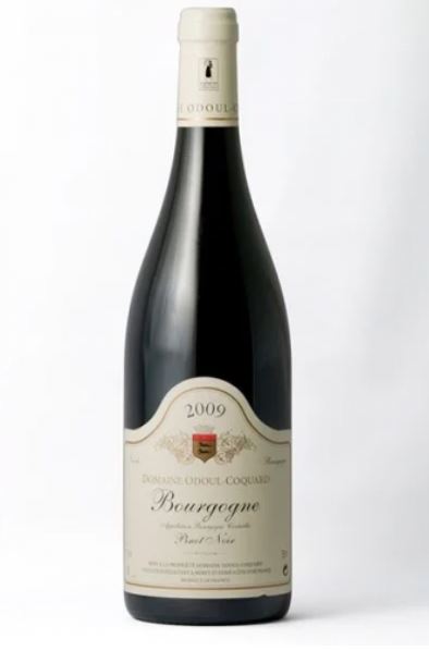 Bourgogne Côte d'or rouge 2023